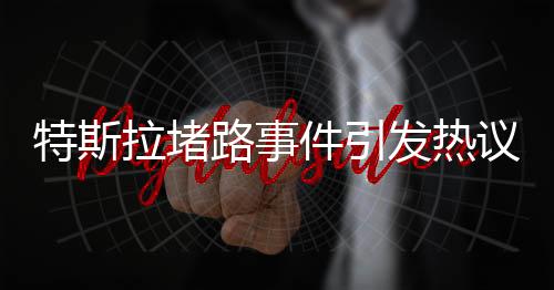 特斯拉堵路事件引发热议，警方回应未进行罚款处理