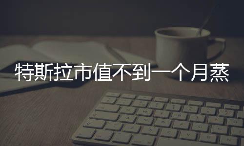 特斯拉市值不到一个月蒸发1.65万亿，全球电动汽车巨头遭遇市场震荡