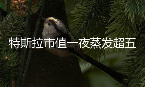 特斯拉市值一夜蒸发超五千二百亿元人民币，深度分析与解读