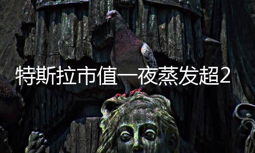 特斯拉市值一夜蒸发超2900亿，市场波动下的新能源汽车巨头挑战