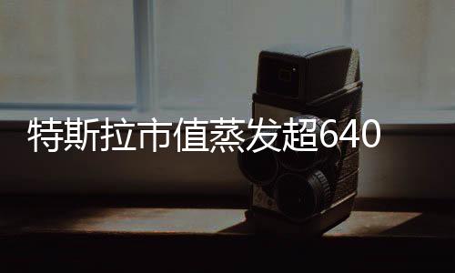 特斯拉市值蒸发超6400亿，投资者信心大受考验