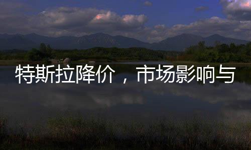 特斯拉降价，市场影响与未来展望