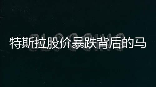 特斯拉股价暴跌背后的马斯克回应