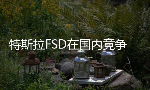 特斯拉FSD在国内竞争力如何？经济学者盘和林：智驾短期免费是趋势，长期会有不同商业模式