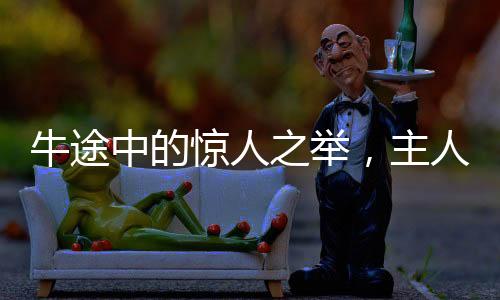 牛途中的惊人之举，主人亲历卖牛途中牛突然下跪的奇异经历
