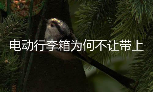 电动行李箱为何不让带上公交车？一文了解携带含锂电池物品规定