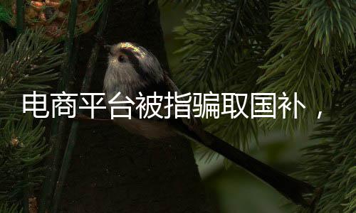 电商平台被指骗取国补，聚焦背后的真相与反思