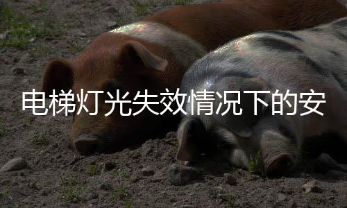 电梯灯光失效情况下的安全警示，切勿乘坐电梯