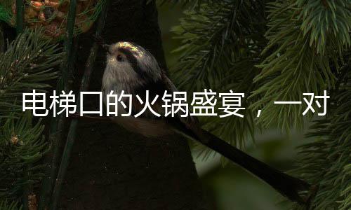 电梯口的火锅盛宴，一对夫妇的悠闲时光与外卖小哥的意外邂逅