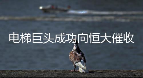 电梯巨头成功向恒大催收4.62亿，业务合作与资金纠纷的解析