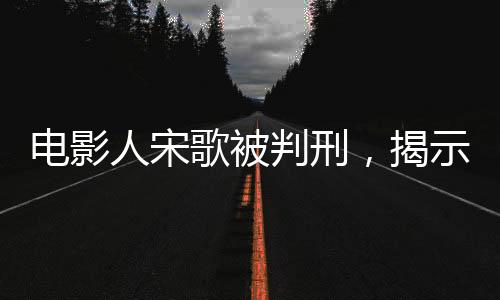 电影人宋歌被判刑，揭示业界内幕与法律正义