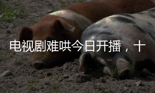 电视剧难哄今日开播，十段情感引你深思