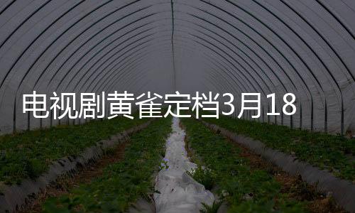 电视剧黄雀定档3月18日，剧情解读及期待视野（原创文章）