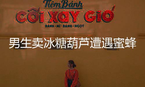 男生卖冰糖葫芦遭遇蜜蜂严选——街头小贩的意外挑战