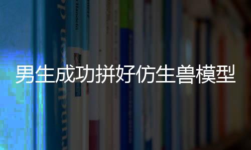 男生成功拼好仿生兽模型，喜悦与成就的见证