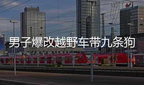 男子爆改越野车带九条狗回乡过年，人与动物情感彰显新篇章