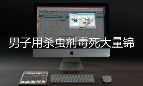 男子用杀虫剂毒死大量锦鲤引发社会热议