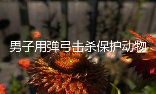 男子用弹弓击杀保护动物引发关注，官方作出回应