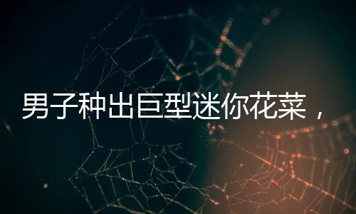 男子种出巨型迷你花菜，一口气能吃数亩地——令人惊叹的农业奇迹