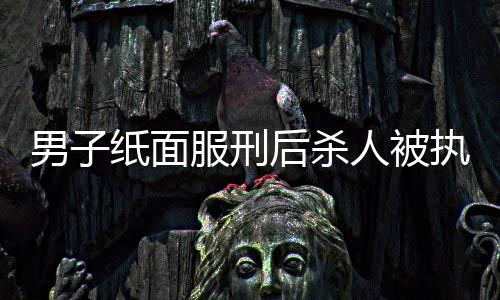 男子纸面服刑后杀人被执行死刑，司法公正与社会正义的考量
