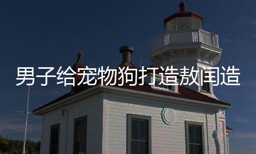 男子给宠物狗打造敖闰造型，瞬间变身气质龙