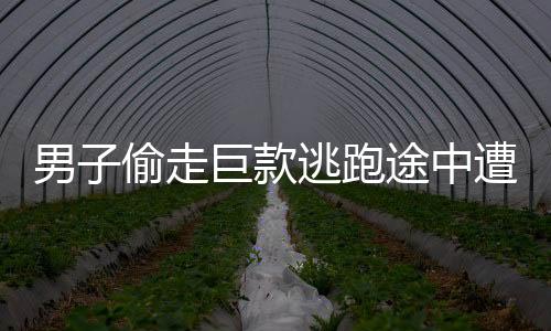 男子偷走巨款逃跑途中遭遇车祸，警方紧急介入调查
