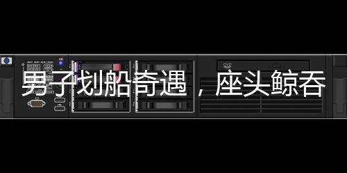 男子划船奇遇，座头鲸吞噬后吐露生存奇迹