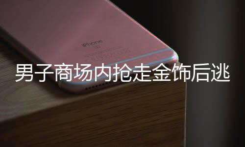 男子商场内抢走金饰后逃离，警方迅速介入调查
