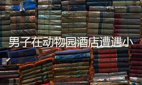 男子在动物园酒店遭遇小熊猫袭击，意外受伤