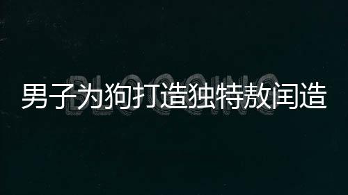 男子为狗打造独特敖闰造型，一场创意与宠爱的结合