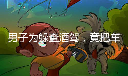 男子为躲查酒驾，竟把车开进派出所——一场意想不到的反转剧情
