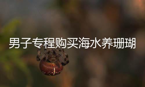 男子专程购买海水养珊瑚，热爱与坚持背后的故事