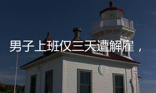 男子上班仅三天遭解雇，七天后公司竟关闭——职场风云实录