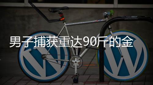 男子捕获重达90斤的金黄色鲢鳙鱼，罕见渔获震惊社区