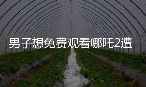 男子想免费观看哪吒2遭遇骗局，损失880元