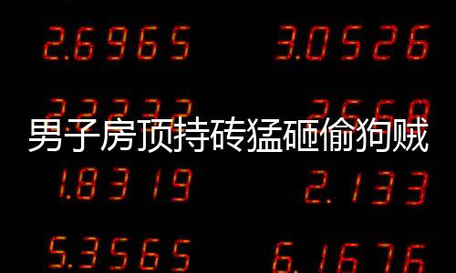 男子房顶持砖猛砸偷狗贼——正义的抗争在行动