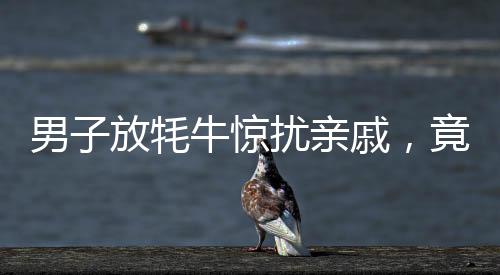 男子放牦牛惊扰亲戚，竟致其爬路灯杆——一则趣事揭示生活百态
