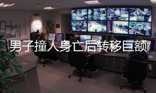男子撞人身亡后转移巨额卖房款事件调查