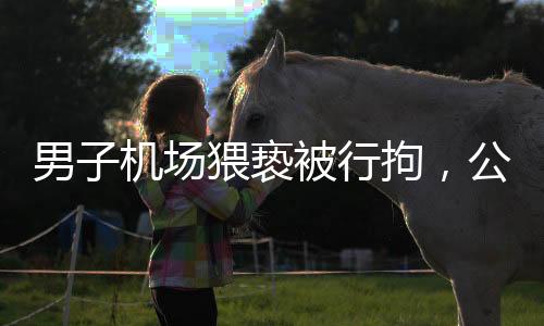 男子机场猥亵被行拘，公众对治安秩序更加重视
