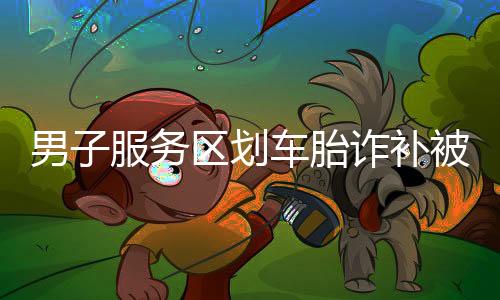 男子服务区划车胎诈补被刑拘，一起探究事件的来龙去脉