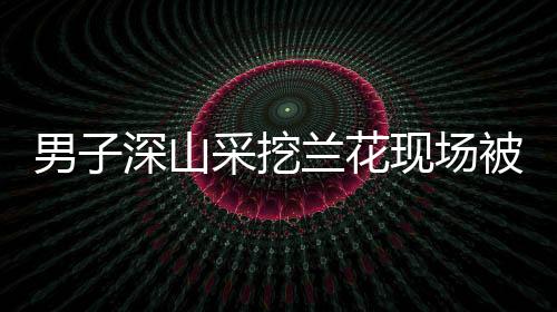 男子深山采挖兰花现场被擒，生态保护的严峻挑战与法治意识的觉醒