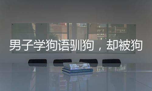 男子学狗语驯狗，却被狗狗扑咬，揭秘背后的故事