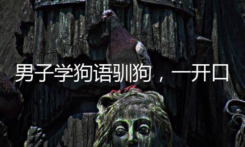 男子学狗语驯狗，一开口就被扑咬——探寻人与犬的沟通之道