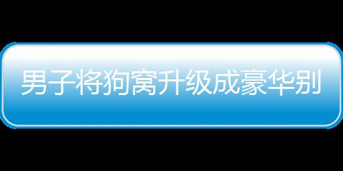 男子将狗窝升级成豪华别墅，人与宠物的温馨共享空间