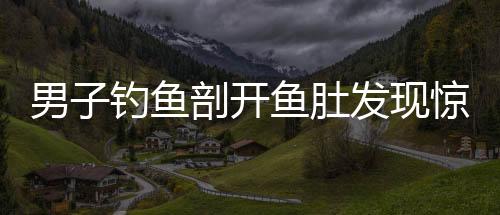 男子钓鱼剖开鱼肚发现惊人秘密，鱼肚内藏有假饵十七个