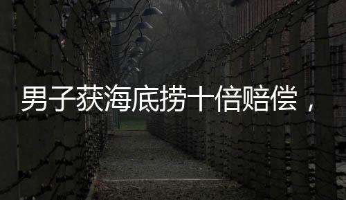 男子获海底捞十倍赔偿，朋友要求平分——一场赔偿引发的友情之辩