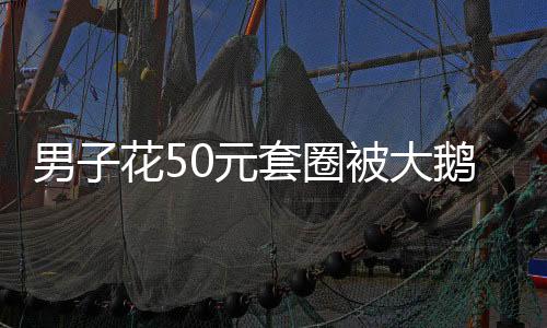 男子花50元套圈被大鹅上课——城市套圈活动的意外启示