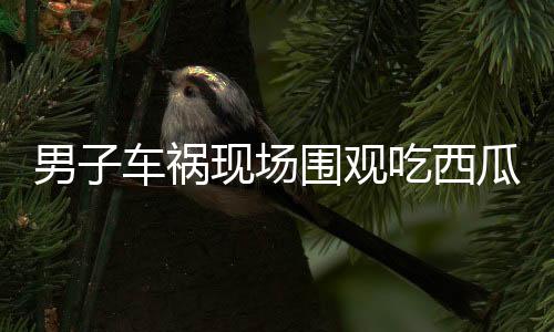 男子车祸现场围观吃西瓜，意外被民警查出酒驾——酒后切勿驾车，安全警钟长鸣