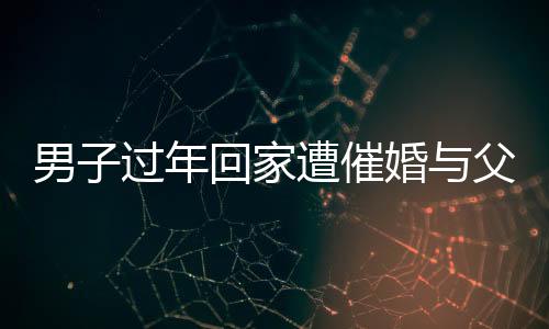 男子过年回家遭催婚与父亲辩论被KO，一场关于婚恋观的激烈碰撞