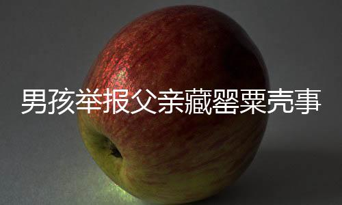 男孩举报父亲藏罂粟壳事件，引发社会深思与关注的一波三折
